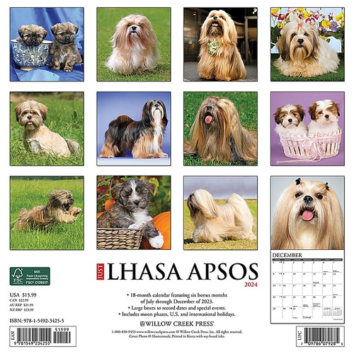 2024 Willow Creek Just Lhasa Apsos 12" x 12" Monthly Wall Calendar, Multicolor (34255)