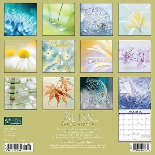 2024 Willow Creek Bliss—Serenity in Nature 12" x 12" Monthly Wall Calendar, Multicolor (37652)