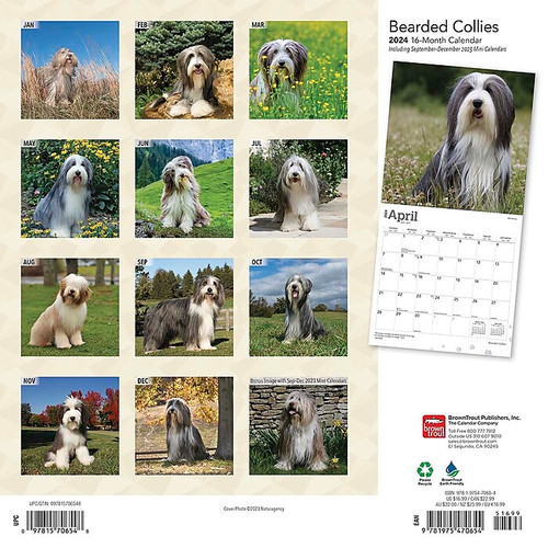 2024 BrownTrout Bearded Collies 12" x 12" Monthly Wall Calendar (9781975470654)