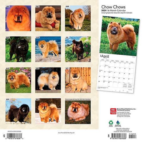 2024 BrownTrout Chow Chows 12" x 12" Monthly Wall Calendar (9781975467838)