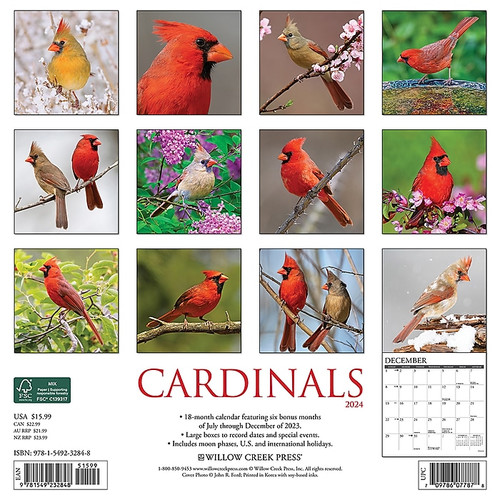 2024 Willow Creek Cardinals 12" x 12" Monthly Wall Calendar, Multicolor (32848)
