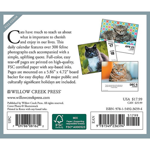 2024 Willow Creek What Cats Teach Us 6" x 5.5" Daily Day-to-Day Calendar, Multicolor (36594)