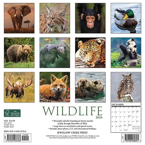 2024 Willow Creek Wildlife 12" x 12" Monthly Wall Calendar, Multicolor (37768)