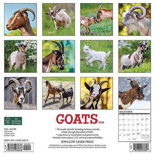 2024 Willow Creek Goats 12" x 12" Monthly Wall Calendar, Multicolor (33678)