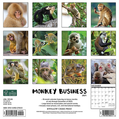 2024 Willow Creek Monkey Business 12" x 12" Monthly Wall Calendar, Multicolor (37430)