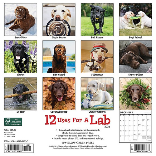 2024 Willow Creek 12 Uses for a Lab 12" x 12" Monthly Wall Calendar, Multicolor (31933)