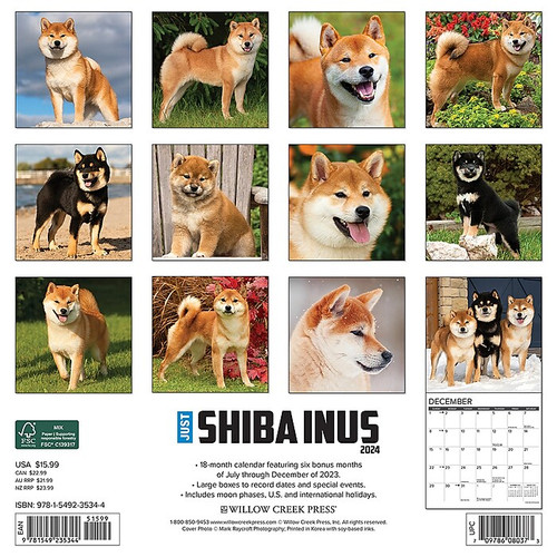 2024 Willow Creek Press Just Shiba Inus Wall Calendar 12" x 12" (35344)