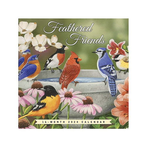 2024 BrownTrout Feathered Friends 12" x 12" Monthly Wall Calendar (9781773727998)