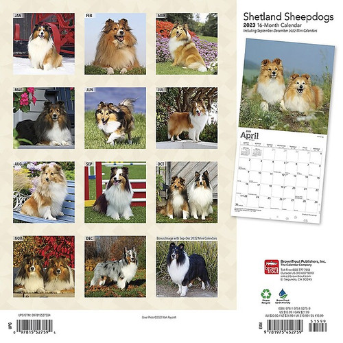 2023 BrownTrout Shetland Sheepdogs 12" x 12" Monthly Wall Calendar, (9781975452759)