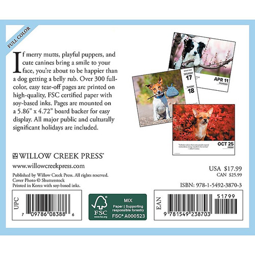 2024 Willow Creek Press Daily Dogs and Puppies Box Calendar Daily Desk 5.5" x 6" (38703)