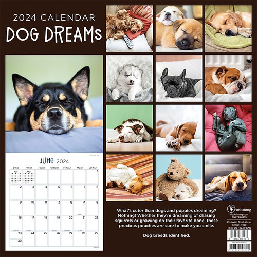 2024 TF Publishing 12" x 12" Dog Dreams Wall Calendar (24-1029)