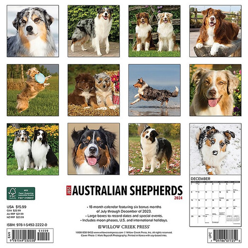 2024 Willow Creek Just Australian Shepherds 12" x 12" Monthly Wall Calendar, Multicolor (32220_1)