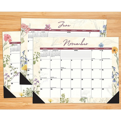 2024 Willow Creek Press Botanical Garden 2024 22" x 17" Large Monthly Deskpad Calendar (38741)
