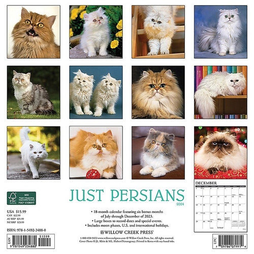 2024 Willow Creek Just Persians 12" x 12" Monthly Wall Calendar, Multicolor (34880)