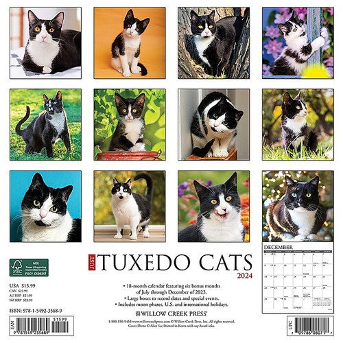 2024 Willow Creek Just Tuxedo Cats 12" x 12" Monthly Wall Calendar, Multicolor (35689)