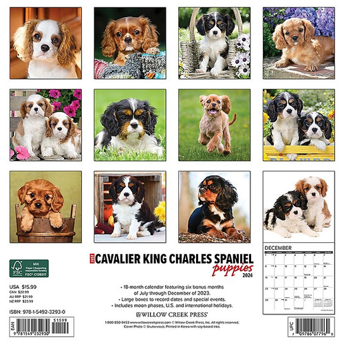 2024 Willow Creek Just Cavalier King Charles Spaniel Puppies 12" x 12" Monthly Wall Calendar, Multicolor (32930)
