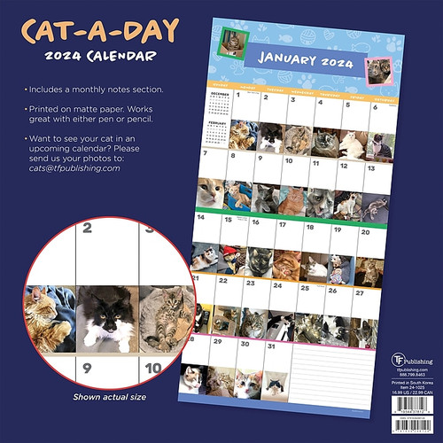 2024 TF Publishing 12" x 12" Cat-A-Day Wall Calendar (24-1025)