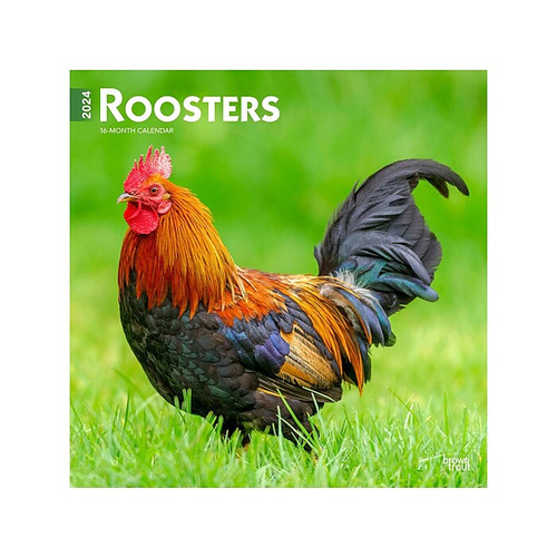 2024 BrownTrout Roosters 12" x 12" Monthly Wall Calendar (9781975464813)