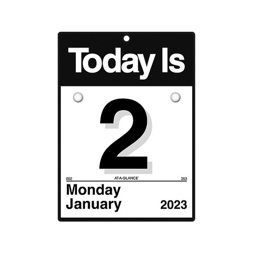 2023 AT-A-GLANCE Today Is 6.63" x 9.13" Daily Wall Calendar, Black/White (K1-00-23)