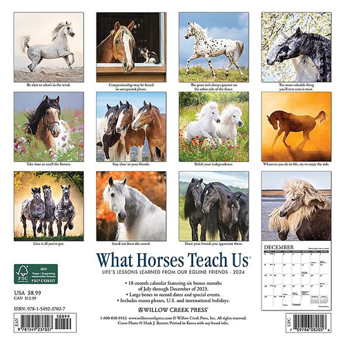 2024 Willow Creek Press What Horses Teach Us  Mini Wall Calendar 7" x 7" (37027)