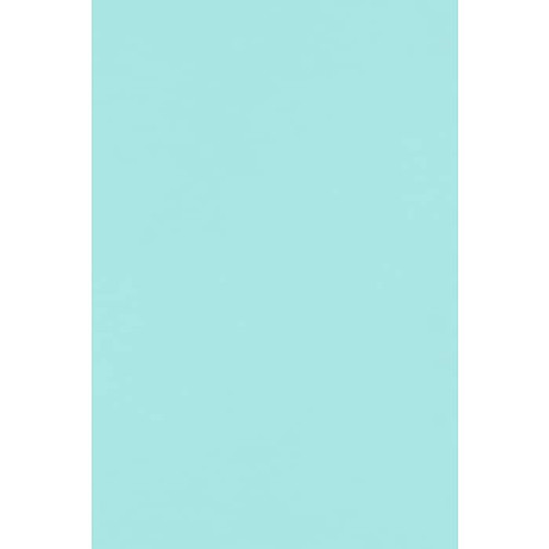 LUX 100 lb. Cardstock Paper, 12" x 18", Sea, 500 Sheets/Pack (1218-C-113-500)