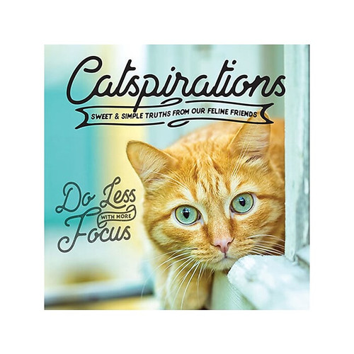 Catspirations, Hardcover (65dd183fe8837636b11afbb5_ud)