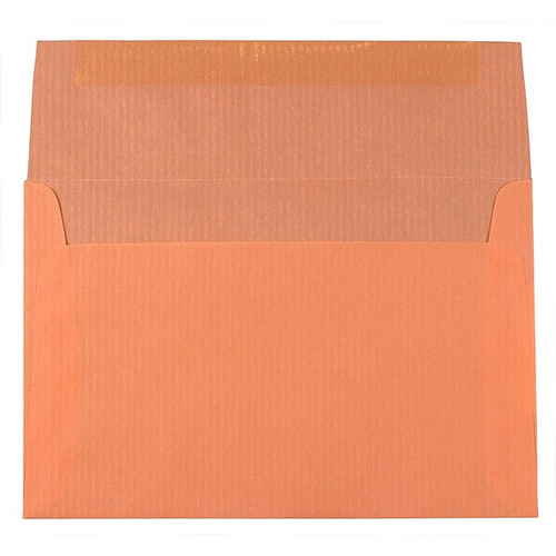 JAM PAPER A8 Translucent Vellum Invitation Envelopes, 5 1/2 x 8 1/8, Sierra Virtual Vision, 25/Pack (5197144I)