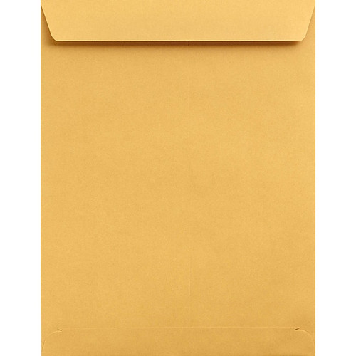 Lux Catalog Jumbo Envelopes Brown Kraft 13" x 19", 500/Pack (22662-500)