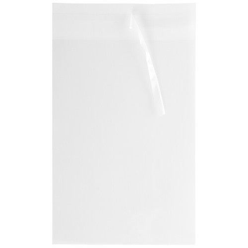 JAM PAPER Cello Sleeves with Self Adhesive Closure, 13 7/16" x 19 1/4", Clear, 1000/Pack (V018303B)