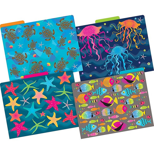 Barker Creek File Folder Set, 1/3-Cut Tab, Letter Size, Kai Ola, 24/Set (4382)