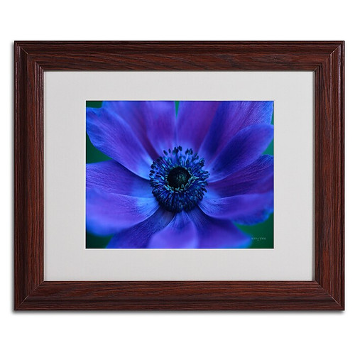 Kathy Yates 'Beautiful Anemone' Matted Framed Art - 11x14 Inches - Wood Frame (65dd6887e8837636b11dcfc5_ud)