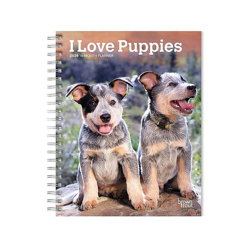 2024 BrownTrout I Love Puppies 6" x 7.75" Weekly & Monthly Engagement Planner, Multicolor (9781975468736)
