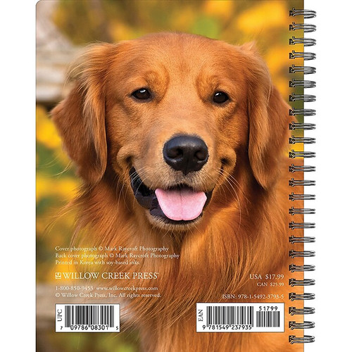 2024 Willow Creek Press What Goldens Teach Us Engagement Calendar, Weekly Planner 6.5" x 8.5" Spiral (37935)