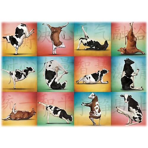 Willow Creek Cow Yoga 1000-Piece Jigsaw Puzzle (39637)