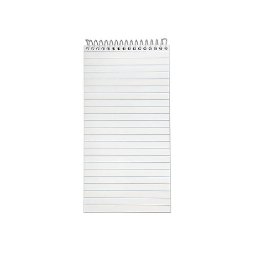 Ampad Earthwise Reporter's Notepads, 4" x 8", Gregg Ruled, White, 70 Sheets/Pad, 12 Pads/Pack (TOP25-280R_1)