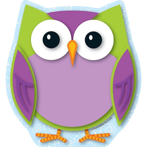 Carson-Dellosa Colorful Owl Notepad (65dd91710030d3d478204469_ud)