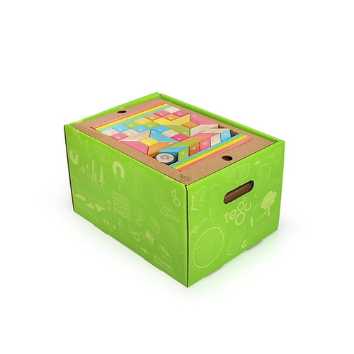 Tegu Magnetic Wooden Tints Classroom Kit, Assorted, 240 Pieces (TEG240PTNT608T)