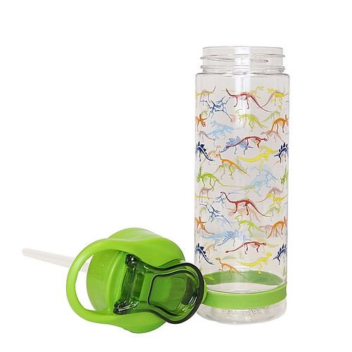 Pep Rally Plastic Water Bottle, Dino Bone (60634)