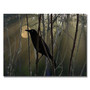 Trademark Fine Art Patty Tuggle 'Nevermore Night and Day' Canvas Art (65dc8f8600faa78082276ff0_ud)