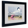 Trademark Fine Art 'Cayenne Tern' 11" x 14" Black Frame Art (65dc8f9a00faa7808227702c_ud)