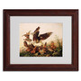 Trademark Fine Art 'Red-Shouldered Hawk' 11" x 14" Wood Frame Art (65dc8ff300faa78082277122_ud)