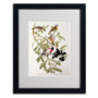 Trademark Fine Art 'Rose-Breasted Grosbeak' 16" x 20" Black Frame Art (65dc902300faa780822771a4_ud)