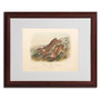 Trademark Fine Art 'Northern Hare' 16" x 20" Wood Frame Art (65dc904400faa780822771de_ud)