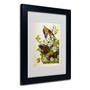 Trademark Fine Art 'Carolina Turtledove' 11" x 14" Black Frame Art (65dc90a600faa780822772f8_ud)