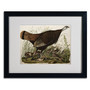 Trademark Fine Art 'Great American Hen and Young' 16" x 20" Black Frame Art (65dc919100faa7808227753e_ud)