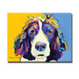 Trademark Global Pat Saunders White "Sadie" Canvas Art, 18" x 24" (65dc91ae00faa7808227758e_ud)