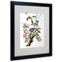 Trademark Fine Art 'Downy Woodpecker' 16" x 20" Black Frame Art (65dc91d800faa780822775e4_ud)