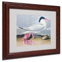 Trademark Fine Art 'Cayenne Tern' 11" x 14" Wood Frame Art (65dc923c00faa780822776e2_ud)