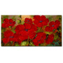 Trademark Fine Art Rio 'Poppies' Canvas Art 12x24 Inches (65dc9586d5d0399c333af1ba_ud)