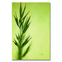 Trademark Fine Art Lois Bryan 'Keep Green II' Canvas Art 30x47 Inches (65dc958bd5d0399c333af1e6_ud)